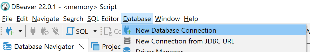DBeaver New Database Connection Menu