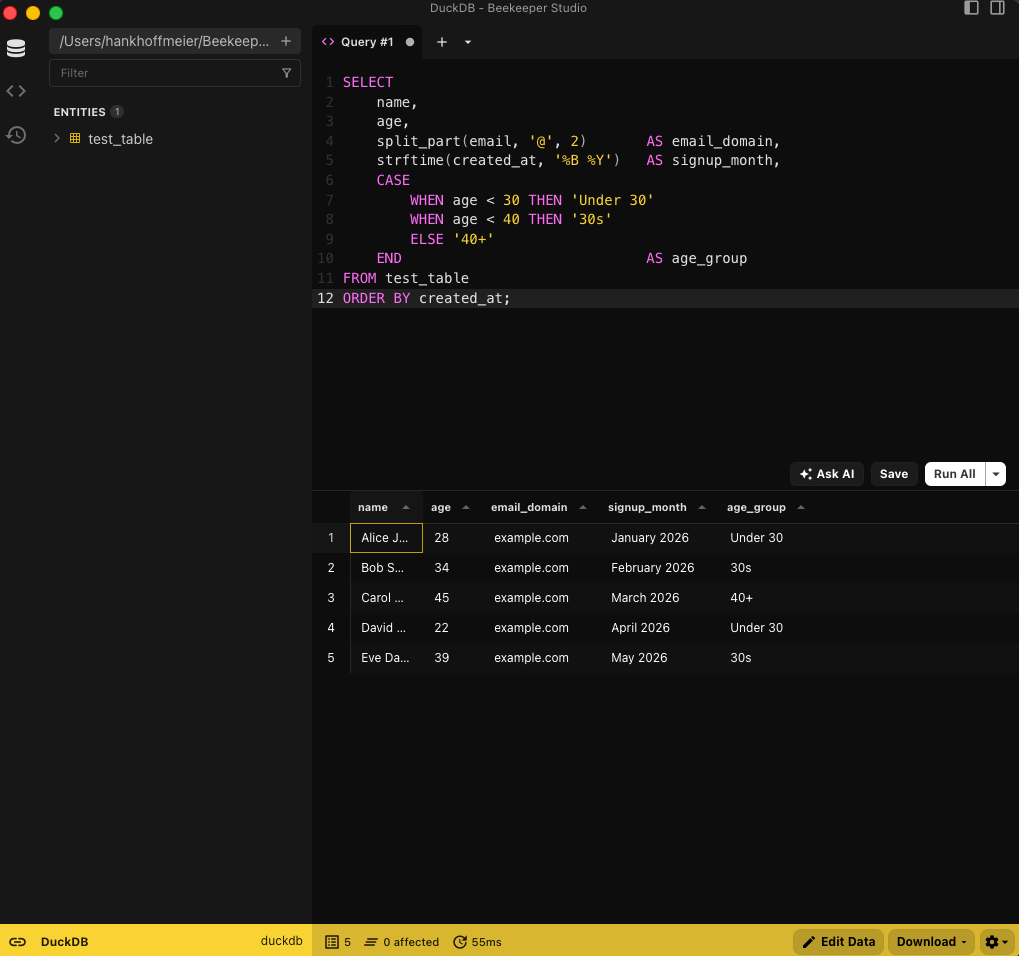 Beekeeper Studio Query Results